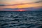 seascape horizon at bahamas sunset. summer seascape horizon at sunset. seascape horizon