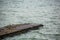 Seascape huge number of seagulls sit on old stone pier on background sea