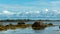 Seascape, low clouds, rocks, boulders, seaweed, coastline.