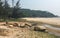 Seascape with many trees in Nha Trang, Vietnam