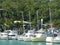 Seascape with mooring yachts in the marina, the marina with houses, in the blurred background trees,,Whitsunday