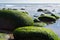 A seascape with moss covered rocks on California coast