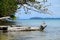 Seascape with mountain and tree at ocean. Koh Chang island, Thailand.