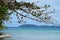 seascape with mountain and tree at ocean. Koh Chang island, Thailand.