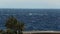 Seascape through palm trees, windy weather, wave of sea, nobody, view from luxury apartments, Mediterranean Sea, sunny