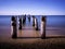 Seascape with pilings of ruined piers and resting cormorants on tropical beach