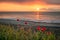 Seascape with poppies