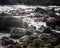 Seascape of the rocks and seal New Zealand