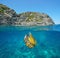 Seascape rocky coast mediterranean jellyfish