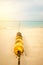 Seascape with rope and buoy in seaweeds