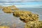 Seascape with row of wild rocks in water sea