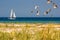 Seascape - sailboat on the sea waves with flock of gulls