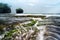 Seascape scenery of beautiful coral at Sawarna,Banten,Indonesia