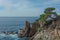 Seascape. Sea rocky shore with a lone tree on the mountainside