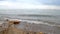 Seascape of sea sandy shore in quiet calm rainy weather with clouds