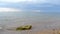 Seascape of sea sandy shore in quiet calm rainy weather with clouds