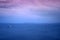 Seascape with ships under a pink sunset