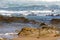 Seascape showing rocks emerging at low tide