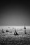 Seascape with silhouettes of sailboats at sea in monochrome technique.