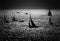 Seascape with silhouettes of sailboats at sea in monochrome technique.