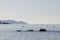 Seascape with spotted seals Phoca largha and flying cormorants on foreground, fishing ship and rock cape in sea on background. Sil