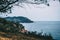 Seascape with a steep rocky cliff full of vegetation