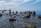 Seascape with stones. Blue sea and waves. Embankment and lighthouse.