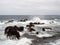 Seascape with stormy dramatic waves breaking over coastal rocks with white surf