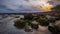 Seascape during sunset. Beach with many stones covered by long green seaweeds. Ocean low tide. Nature background. Cloudy sky.