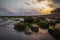 Seascape during sunset. Beach with many stones covered by long green seaweeds. Ocean low tide. Nature background. Cloudy sky.