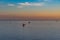 Seascape with tanker and ships on the background of the sea and coastline