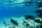 Seascape - transparent and purest blue water of the Aegean Sea. Underwater photography, selective focus.