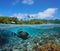 Seascape tropical coast and coral reef underwater