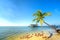 Seascape with tropical palms on beautiful sandy beach in Phu Quoc island, Vietnam.