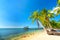 Seascape with tropical palms on beautiful sandy beach in Phu Quoc island, Vietnam.