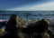 Seascape with Two Glacial Boulders Covered with Seaweed