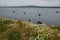 Seascape in the Ultima Esperanza Inlet from Puerto Natales.