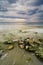 seascape view and stone covered with green moss over cloudy sky