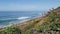 Seascape vista point, Del Mar Torrey Pines, California coast USA. Ocean tide, blue sea wave overlook