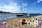 Seascape Wildflowers  daisy  seashell and wild flowers  on stone at beach sea water splash and on horizon yach club harbor blu