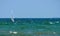 Seascape with windsurfing on the Black Sea, landmark attraction in Romania. Waves show. Summer, sea, sun, blue sky, holiday, fun