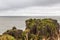 Seascapes of Paparoa national park. South Island, New Zealand