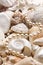 Seashell background with pearls