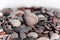 Seashell on a background of stones. Marine background