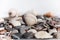 Seashell on a background of stones. Marine background