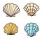 Seashell collection features various colorful scallop shells. Set sea shells different color