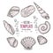 Seashell collection hand drawn aquatic doodle vector illustration. Sketch.