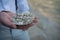 A seashell filled with small pebbles holds up two wedding rings