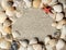 Seashell frame in sand