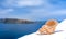 A seashell on a ledge with ocean background, Santorini.